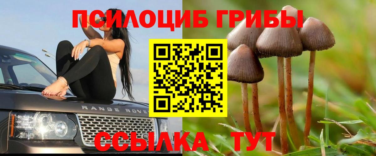 Псилоцибиновые грибы мухоморы Морозовск